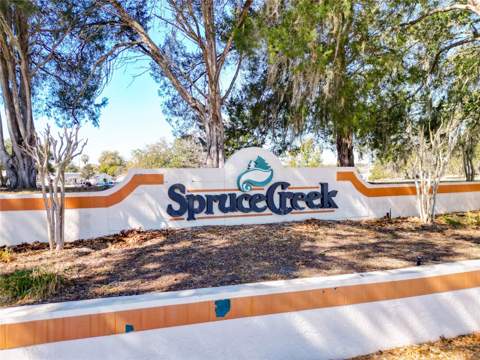 9826 SE 178th Lane, Summerfield FL - photo 20 of 21