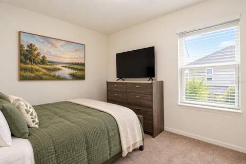 7245 Big Cedar Alley, Groveland FL - photo 11 of 20