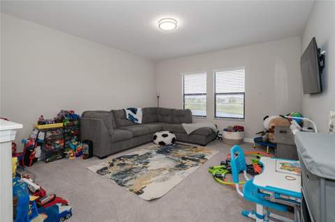 8099 Lago Mist Way, Wesley Chapel FL - photo 18 of 56