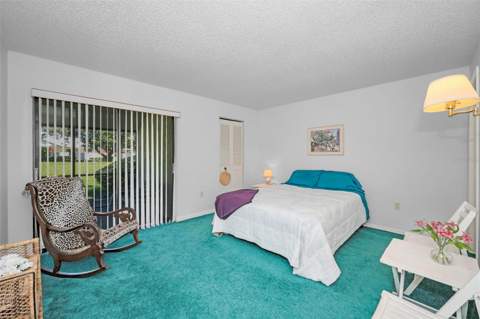 1333 Shady Pine Way #F, Tarpon Springs FL - photo 14 of 43