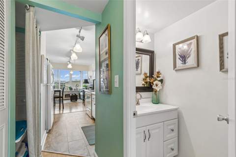 4885 1st St NE #307, St Petersburg FL - photo 9 of 32