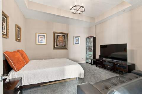 1209 E Cumberland Avenue #2901, Tampa FL - photo 20 of 83
