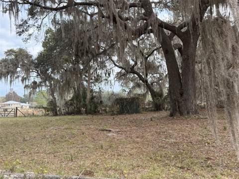 29605 Fullerville Road, Deland FL - photo 6 of 6