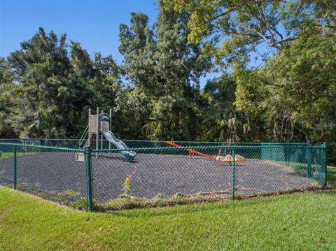 3101 Lake Pine Way #A1, Tarpon Springs FL - photo 20 of 50