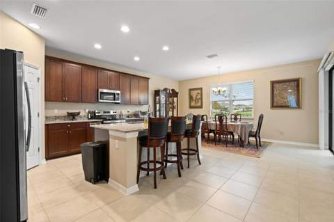 31046 Parrot Reef Court, Wesley Chapel FL - photo 15 of 99