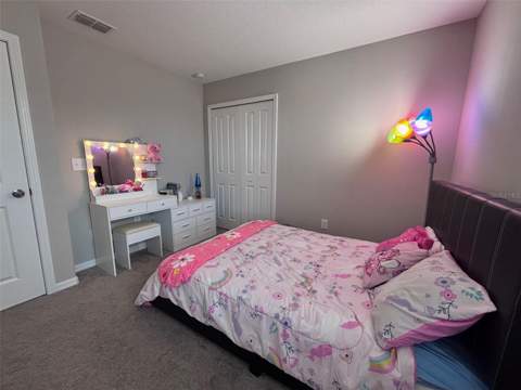 405 Serenity Mill Loop, Ruskin FL - photo 24 of 50