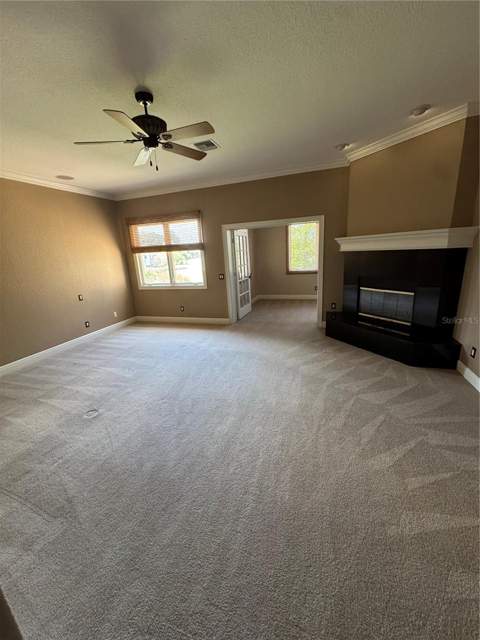 644 Saxony Boulevard, St Petersburg FL - photo 6 of 6