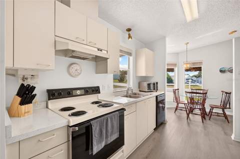 1207 Palmetto Drive, The Villages FL - photo 18 of 71
