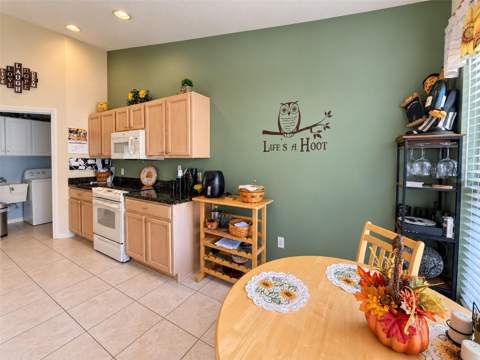 11210 Heathrow Avenue, Spring Hill FL - photo 10 of 25