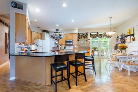 22754 Magnolia Trace Boulevard, Lutz FL - photo 21 of 56