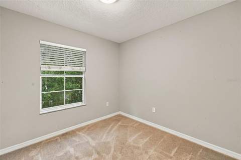 37640 Aaralyn Road, Zephyrhills FL - photo 20 of 29