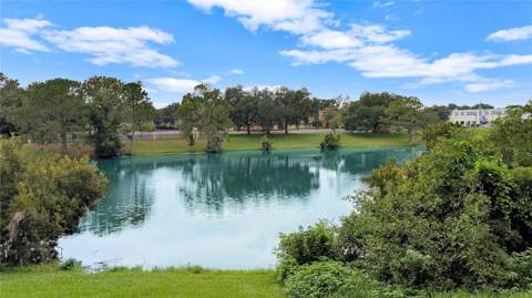 2516 Grassy Point Drive #306, Lake Mary FL - photo 15 of 26