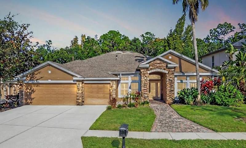 Buckingham At Tampa Palms