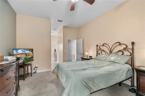 8860 Bridgeport Bay Circle, Mount Dora FL - photo 23 of 50