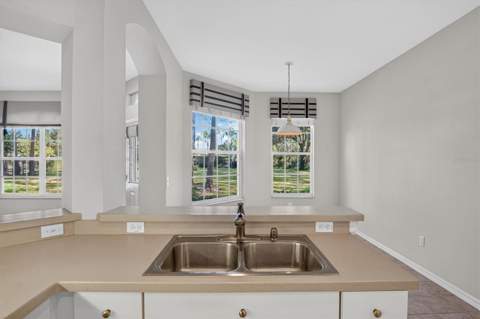 19122 Doves Landing Drive, Tampa FL - photo 20 of 44