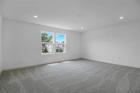 1051 Cloud Ridge Court, Mount Dora FL - photo 15 of 24