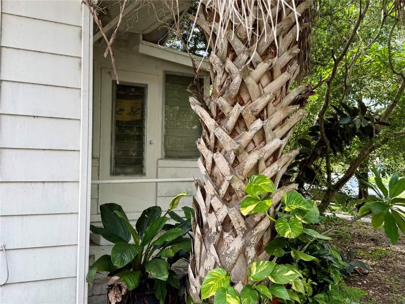 1 bedroom Single Family Residence at 766 51st Avenue, Arcadia Annex, St Petersburg — photo 4
