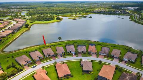 3456 Forsythia Drive, Odessa FL - photo 6 of 6