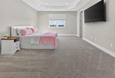 5217 Citrus Leaf Boulevard, Winter Garden FL - photo 17 of 28