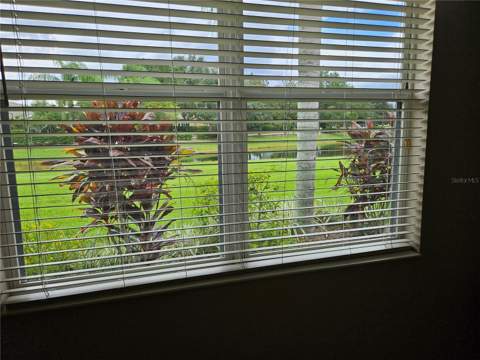 1215 Lyndhurst Greens Drive #.000, Sun City Center FL - photo 16 of 58