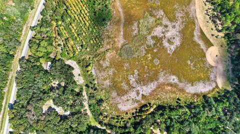 5686 E Highway 316, Citra FL - photo 24 of 40