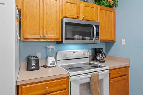 3015 Yellow Lantana Lane, Kissimmee FL - photo 9 of 54