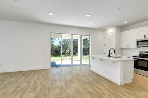 1010 Cloud Ridge Court, Mount Dora FL - photo 7 of 19