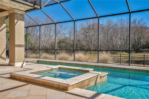 10420 Wittenberg Way, Orlando FL - photo 13 of 40
