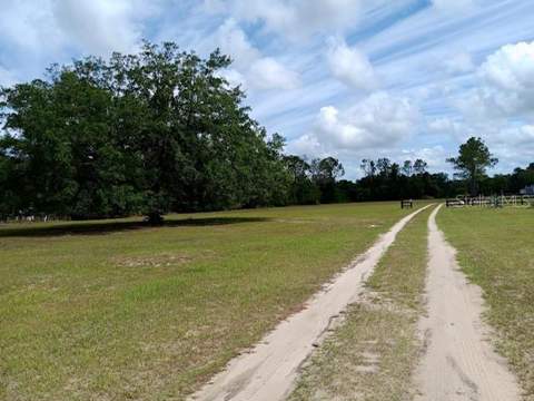 17749 SE 156th Place Road, Weirsdale FL - photo 23 of 33