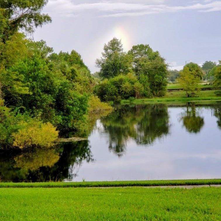 Country Oaks Condo