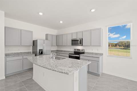 1393 Colt Creek Place, Wesley Chapel FL - photo 11 of 24