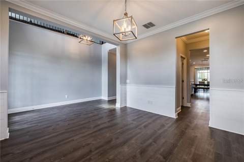 11301 Alachua Creek Lane, Riverview FL - photo 6 of 42