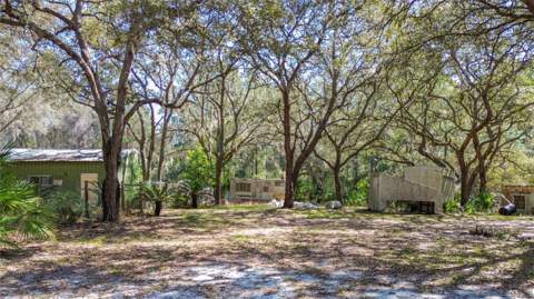 13455 NE 228th Lane Road, Fort Mc Coy FL - photo 6 of 6