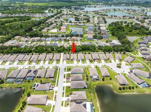 31420 Tansy Bend, Wesley Chapel FL - photo 11 of 89