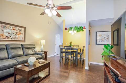 10118 Hunters Point Court, Tampa FL - photo 7 of 38