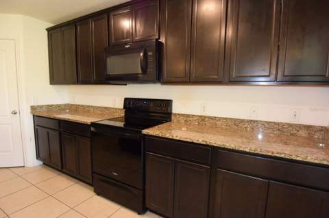 6936 Crested Orchid Drive, Brooksville FL - photo 16 of 51