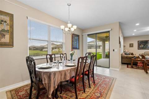 31046 Parrot Reef Court, Wesley Chapel FL - photo 23 of 99