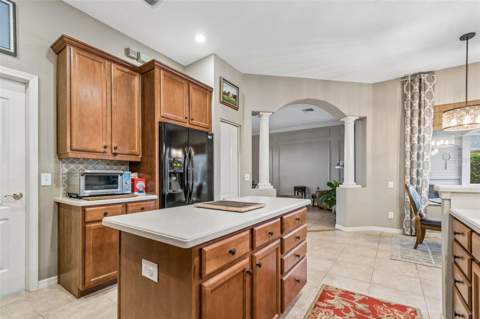 23305 Gracewood Circle, Land O Lakes FL - photo 18 of 72