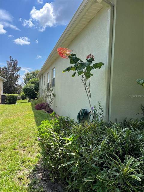 119 Falling Acorn Avenue, Groveland FL - photo 17 of 25