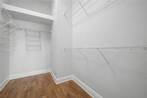 8152 Lagerfeld Drive, Land O Lakes FL - photo 23 of 50