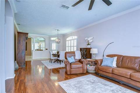 9815 Gingerwood Drive, Tampa FL - photo 23 of 48