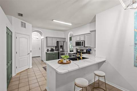 22633 Marsh Wren Drive, Land O Lakes FL - photo 17 of 43