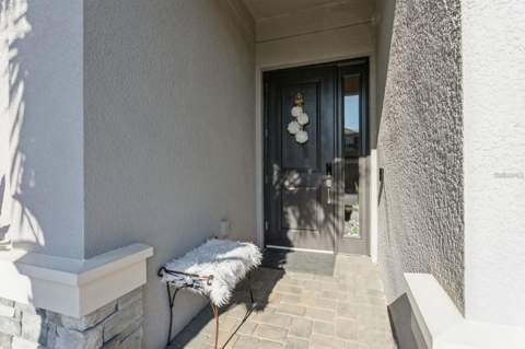 3281 Great Banyan Way, Wesley Chapel FL - photo 6 of 45