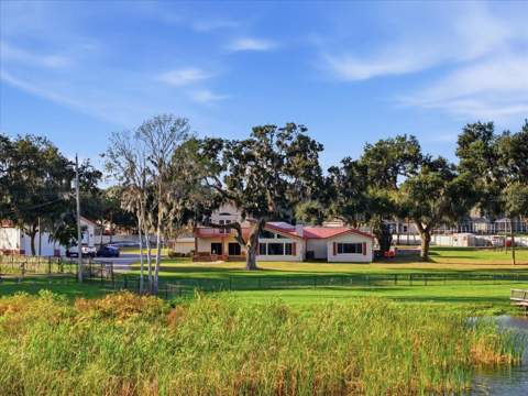 505 Lakeside Drive, Seffner FL - photo 9 of 99
