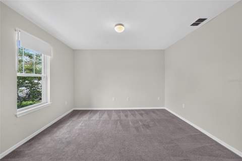 6708 Devlin Lane, Wesley Chapel FL - photo 23 of 66