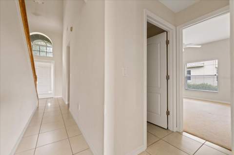 10616 Liberty Bell Drive, Tampa FL - photo 19 of 57