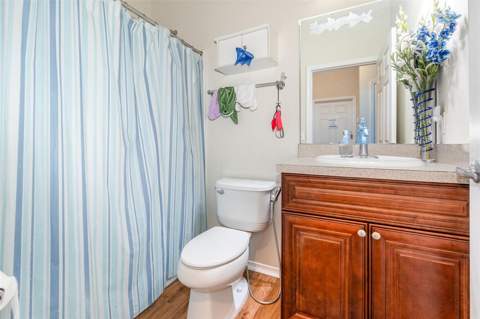 30308 Cheval Street, Mount Dora FL - photo 24 of 35