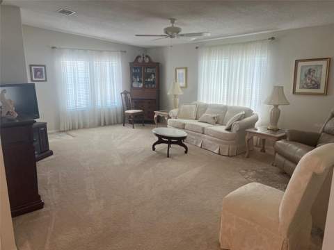 12 Thatch Palm Street, Largo FL - photo 12 of 29