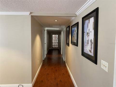 313 S Observatory Drive, Orlando FL - photo 6 of 22