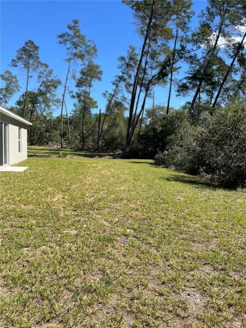 3402 SW 165th Loop, Ocala FL - photo 6 of 6